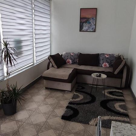 Apartman Jasna, Pirot Dış mekan fotoğraf